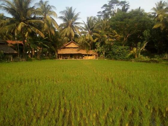D'Jarwo House - Photo3