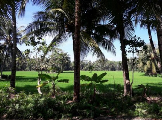 Susan Homestay Batukaras - Photo2