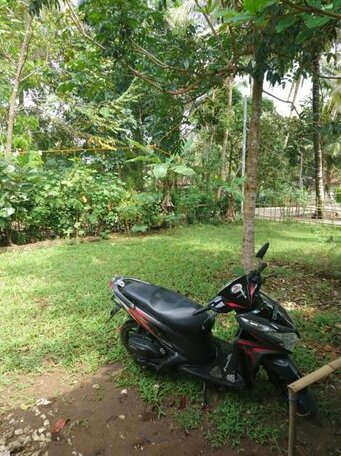 Susan Homestay Batukaras - Photo3