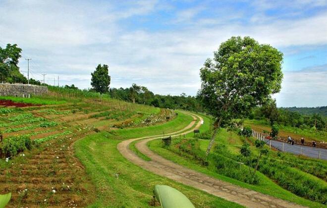 Bagus Agro Pelaga - Photo3