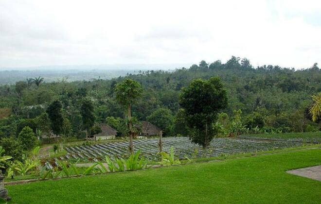 Bagus Agro Pelaga - Photo4