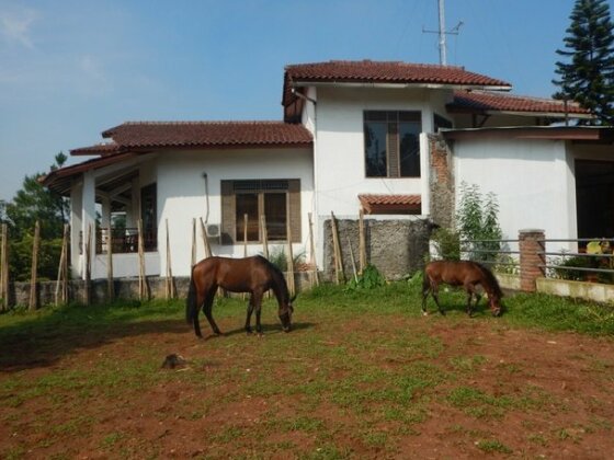 Homestay - Unique Urban House - Photo2
