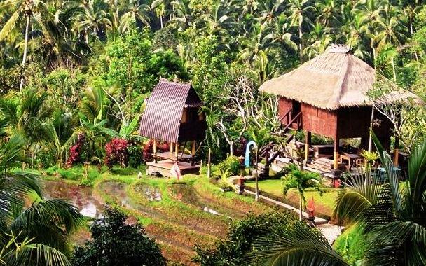 Kebun Villas - Photo2