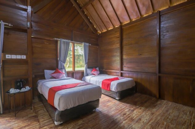 Wisma Pavo Guest House - Photo3
