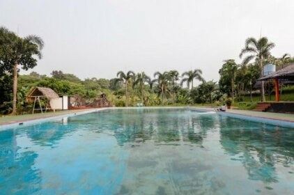 Wisma Pavo Guest House