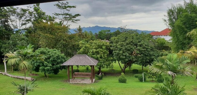 Borobudur Bed & Breakfast - Photo2