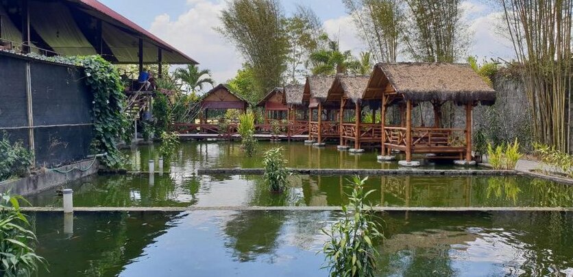 Borobudur Bed & Breakfast - Photo5