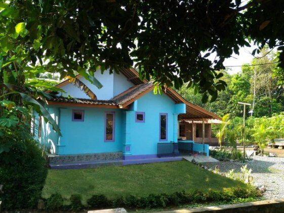 Guesthouse Casa Java - Photo2