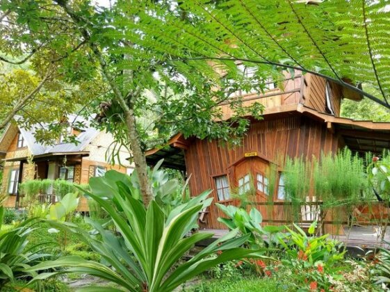 Canyon Jungle Stay - Photo2