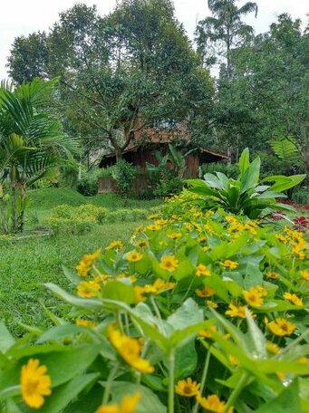 Canyon Jungle Stay - Photo3