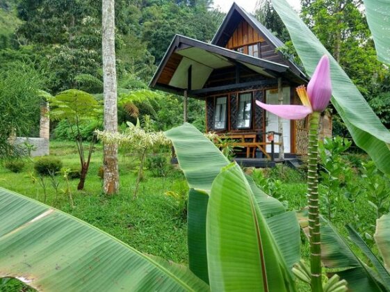 Canyon Jungle Stay - Photo5