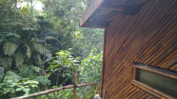 Rumah Pohon Inyiak - Photo4