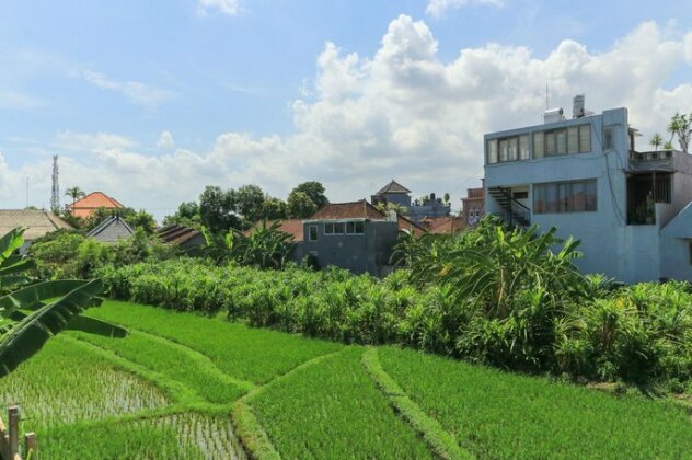 Anyar Guesthouse Canggu - Photo3