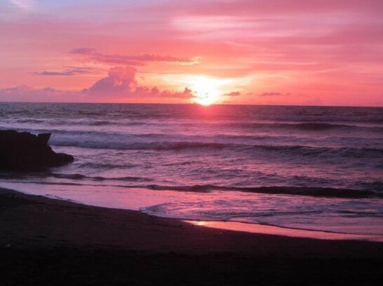 Canggu Stay