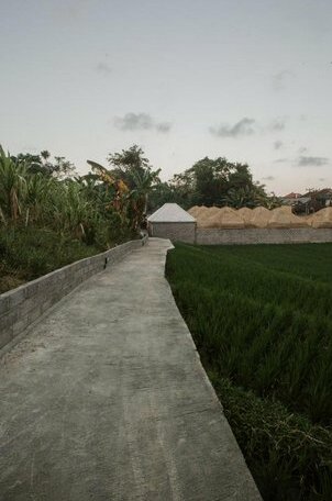 The Umah Bamboo - Photo4