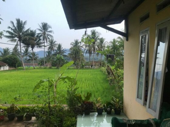 Java Lite Cottage - Photo5