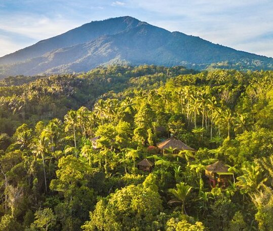 Sarinbuana Eco Lodge - Photo2