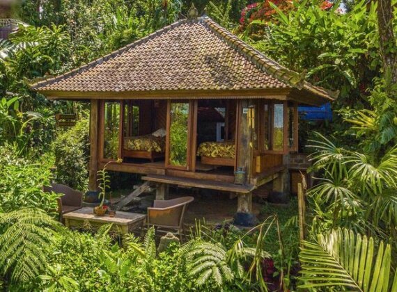 Sarinbuana Eco Lodge - Photo3
