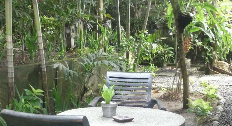 Tropical Bali Hotel - Photo5