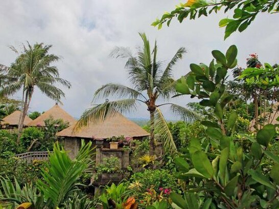 RedDoorz Resort @ Palasari Bali - Photo5
