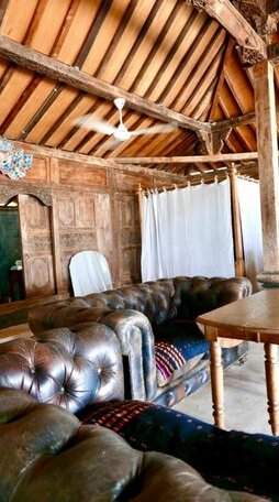 Eco dive resort Alycastre - Photo4
