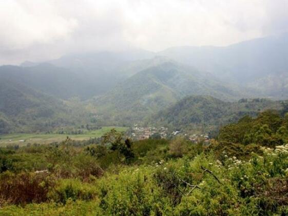 Maria Inn and Resto - Photo3
