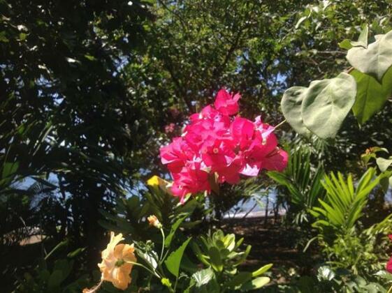 Sunset Cottages - Photo5