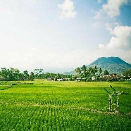 Saung Rainbow - Photo4