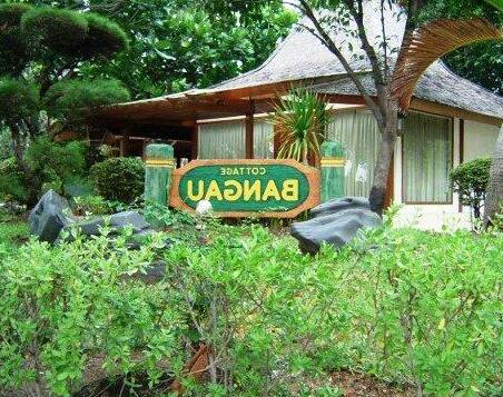 Bidadari Island Resort - Photo4
