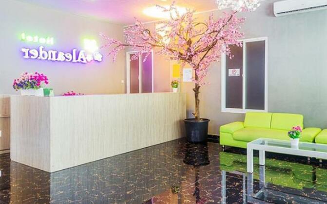 Hotel Aleander - Photo2