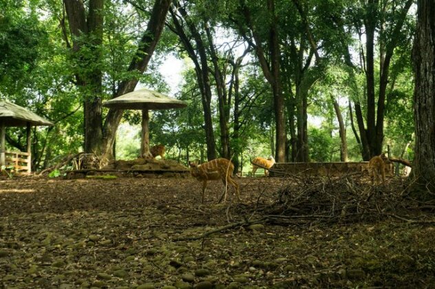 Kabin Kapsul Halte UI Depok - Photo4