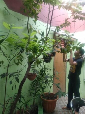 Rawamangun Homestay - Photo3