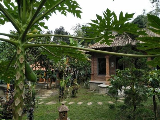 Dina Home Stay - Photo2