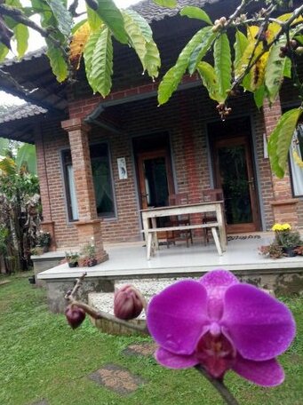 Dina Home Stay - Photo5