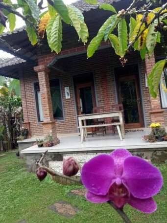 Dina Home Stay - Photo5