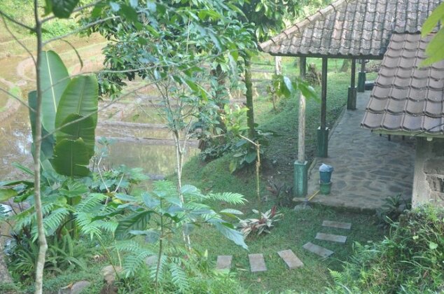 Tepi Sawah Lodge - Photo2