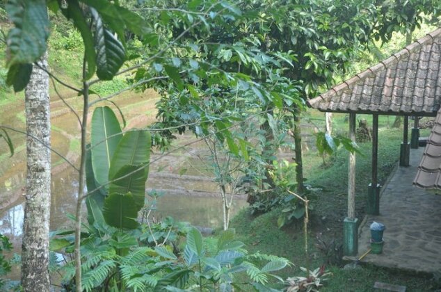 Tepi Sawah Lodge - Photo4