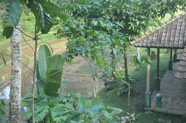 Tepi Sawah Lodge - Photo4