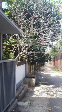 Beranda Hostel - UNUD GWK Jimbaran - Photo3