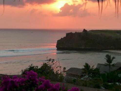 Coconuts Hummingbird - Photo2
