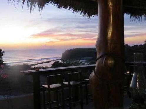 Coconuts Hummingbird - Photo5