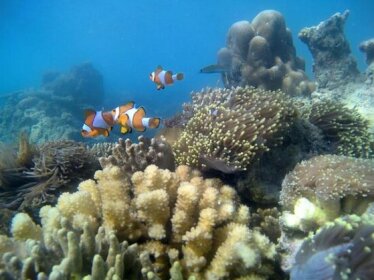 Coco Biru Homestay