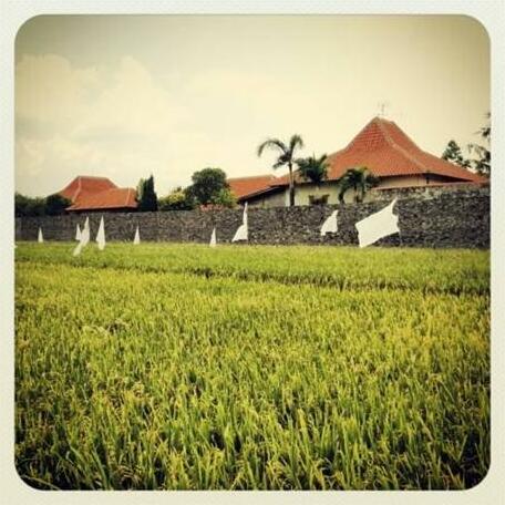 Villa Aquin - Photo4