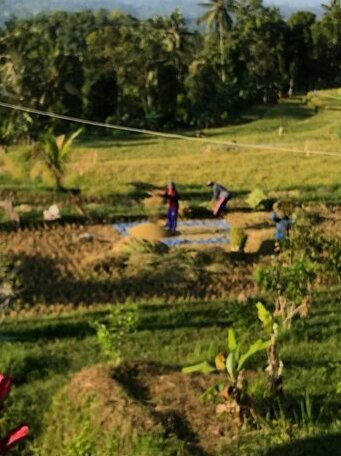 Kedu Indah Stay - Photo5