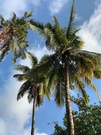 Mewali Villa's - Photo5