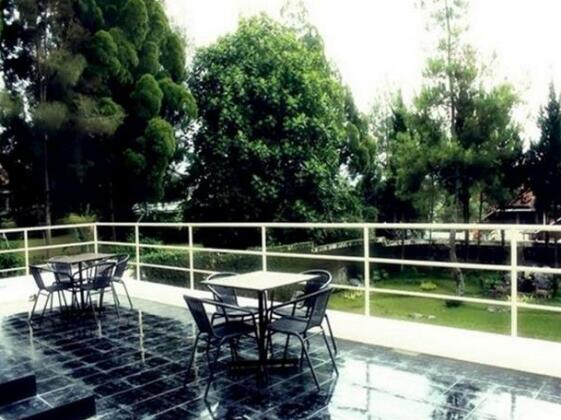 Rumah Pinus Guesthouse & Cafe - Photo4