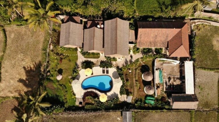 Flush Harmony Villa - Photo5