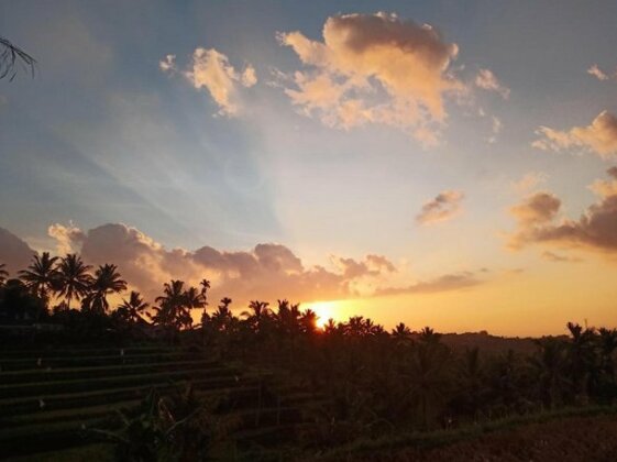 Garden Sunset Bungalows - Photo4