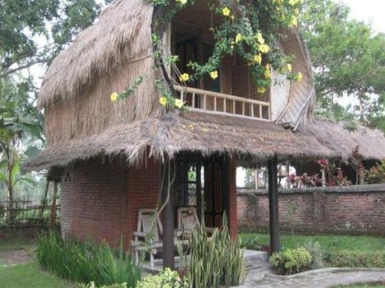 Hakiki Inn Bungalows - Photo4