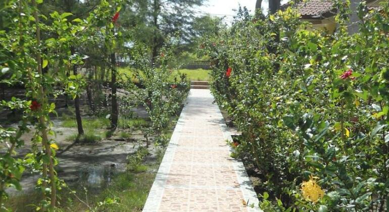 Kalinka Inn - Photo3